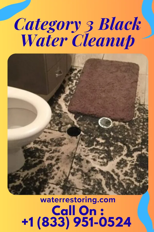 Category 3 Black Water Cleanup in Hunters Creek, FL