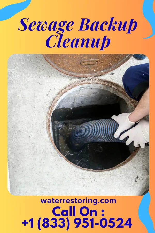 Sewage Backup Cleanup in Hunters Creek, FL